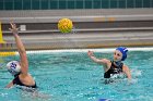 WWPolo vs CC  Wheaton College Women’s Water Polo vs Connecticut College. - Photo By: KEITH NORDSTROM : Wheaton, water polo